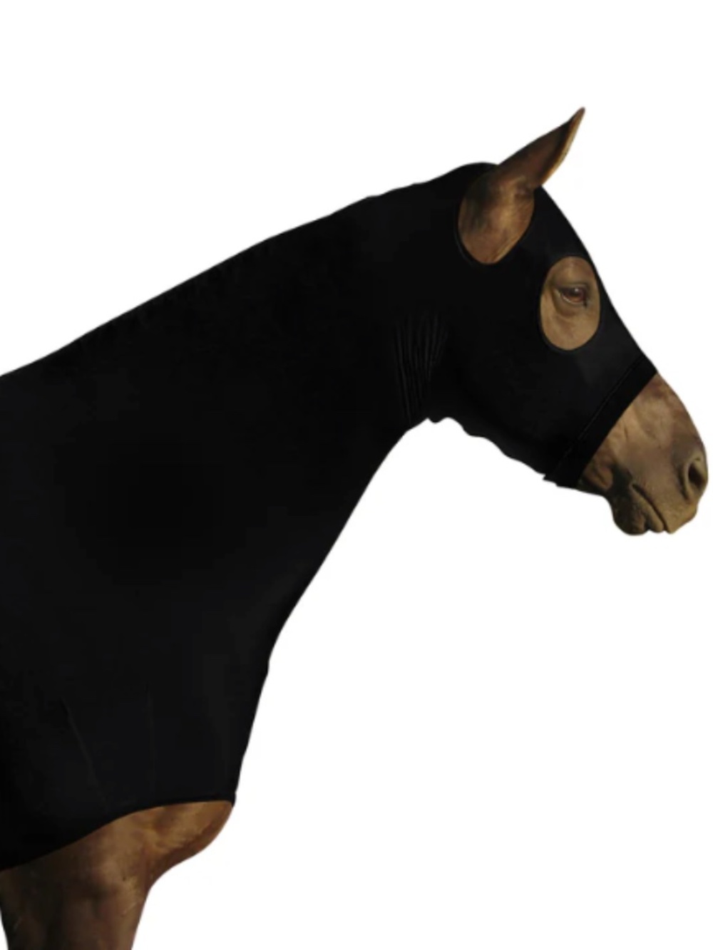 Horse Sleazy Hood